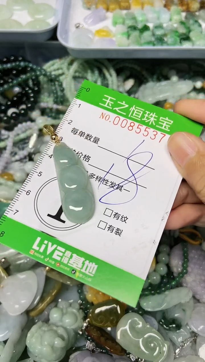 翡翠未镶嵌颈饰闪购0085537
