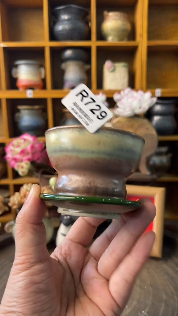 729 内口7【多肉花盆多肉盆】