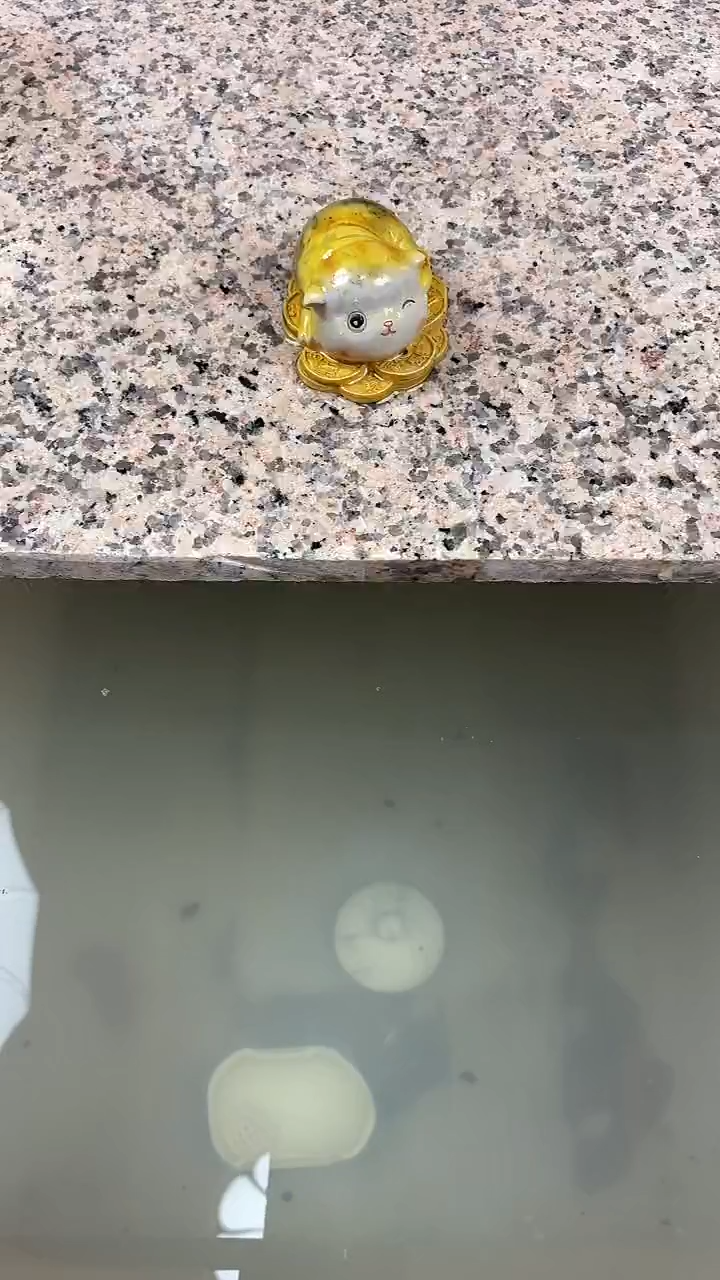 招财猫茶宠招财猫茶宠招财猫茶宠招财猫