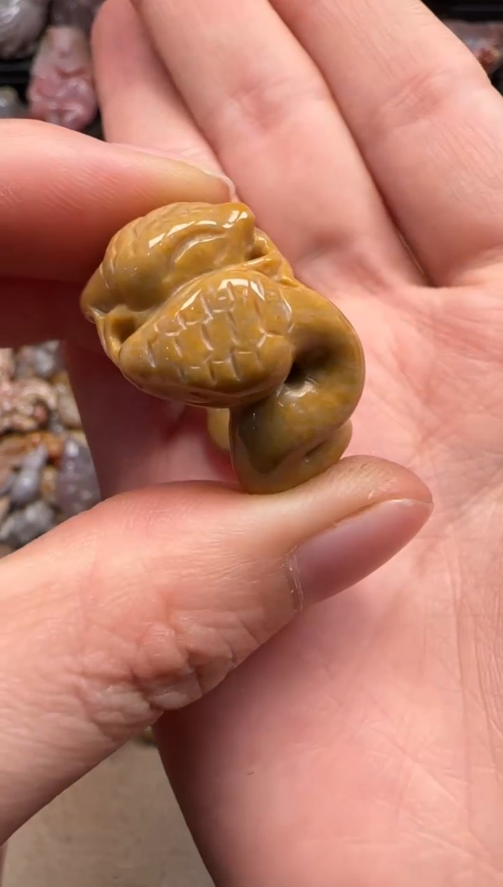 【闪购商品】硅化珊瑚（珊瑚玉）颈饰未镶嵌464