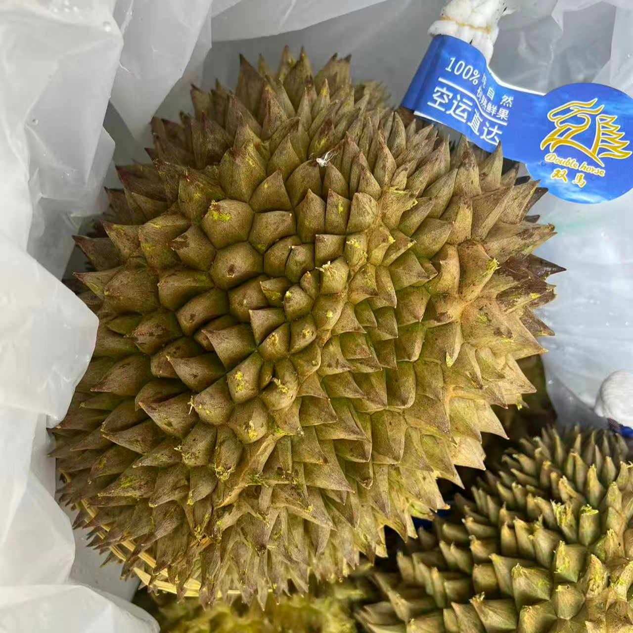 浩仔鲜榴莲马来西亚小品种奶油包 核大 斤金枕奶油包马来西亚