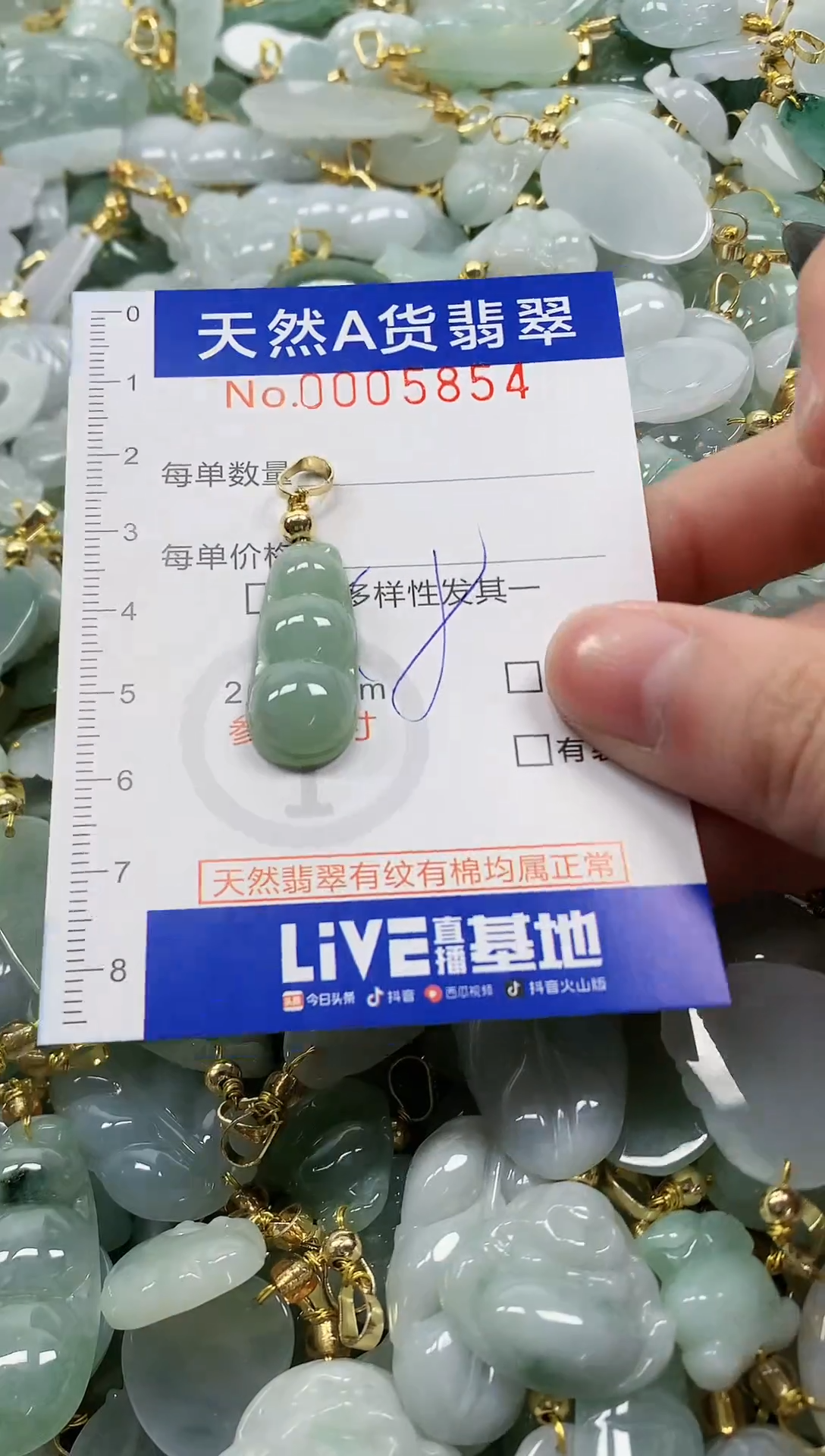 颈饰未镶嵌翡翠纯天然a货翡翠