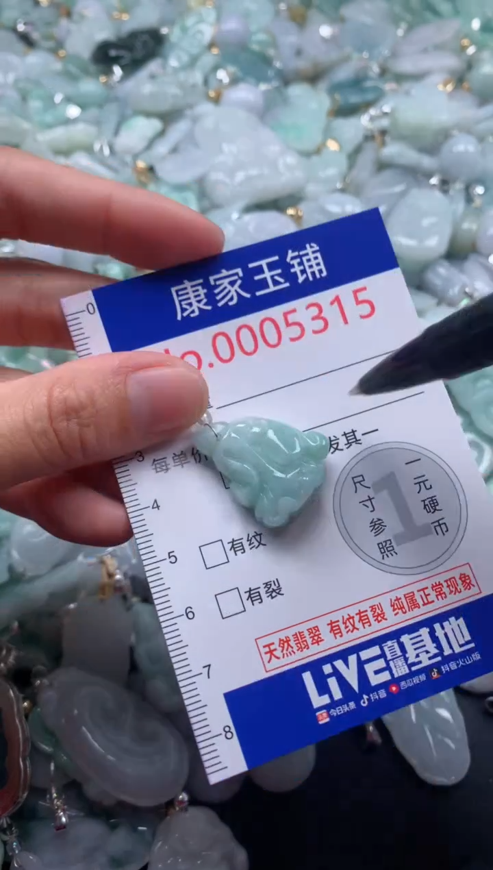 颈饰未镶嵌翡翠5315