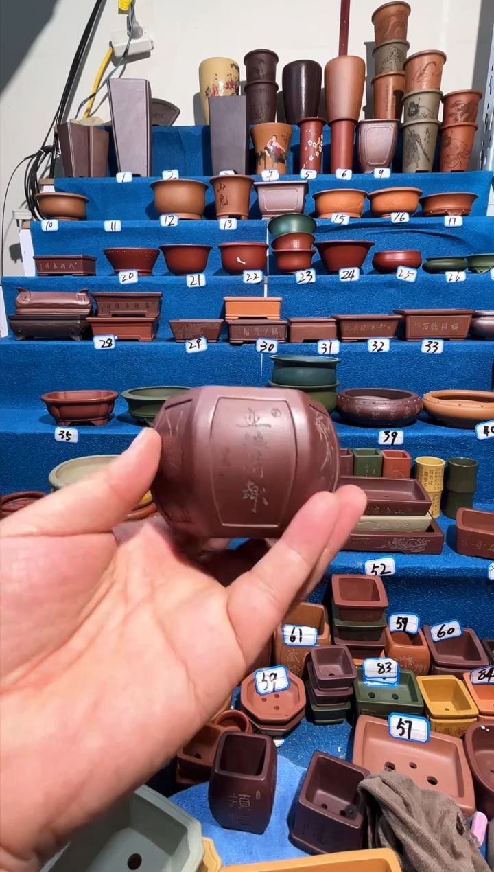 【闪购商品】紫砂紫砂花盆6*5.5
