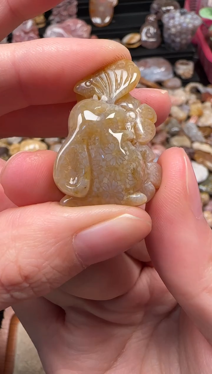 颈饰未镶嵌硅化珊瑚（珊瑚玉）444
