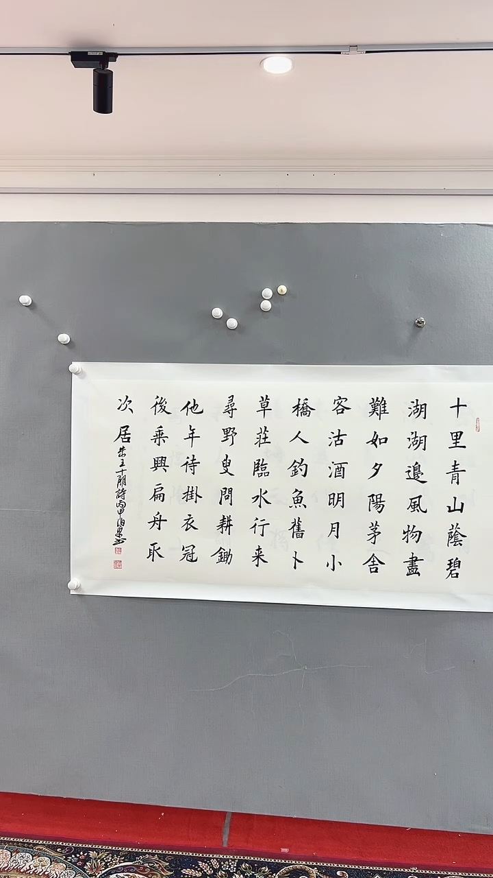 【闪购商品】书法雅艺典藏文化书法