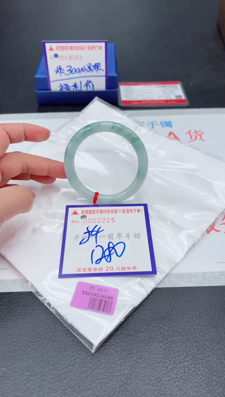 未镶嵌手镯翡翠1