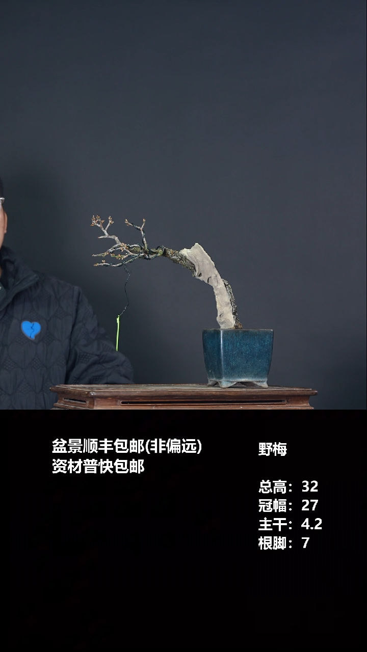 无花朵易*川野梅-G7586