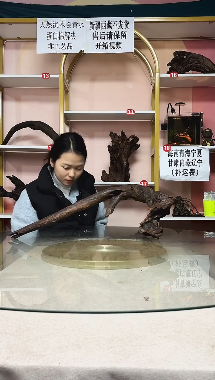 用****3山丘沉木秒沉水A166