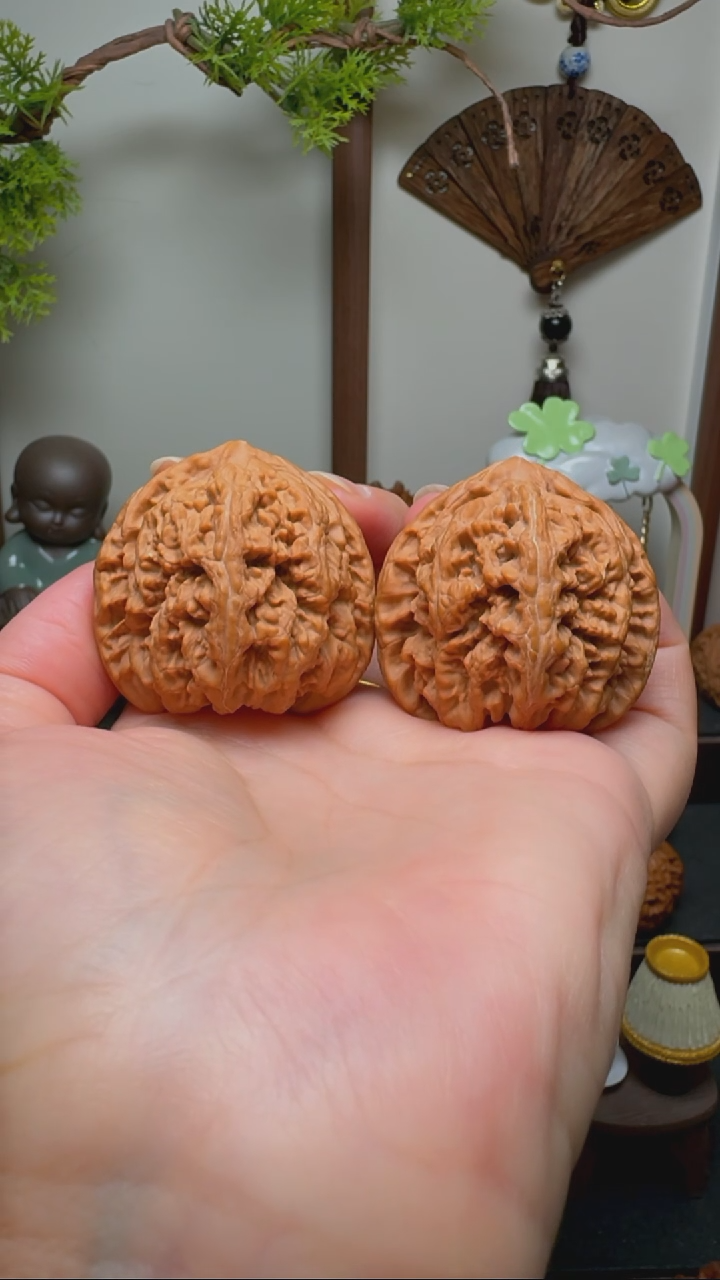 文玩核桃把件大粗筋货头 边41