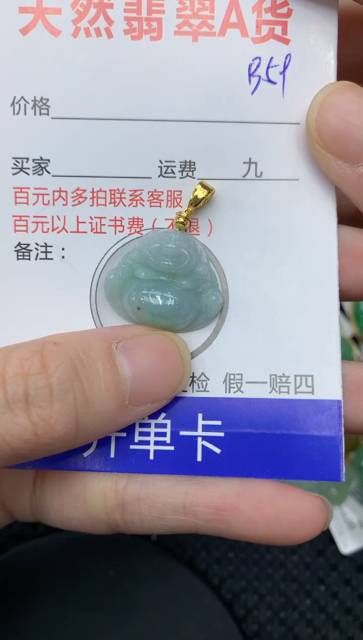 【闪购商品】翡翠颈饰合金11111111111