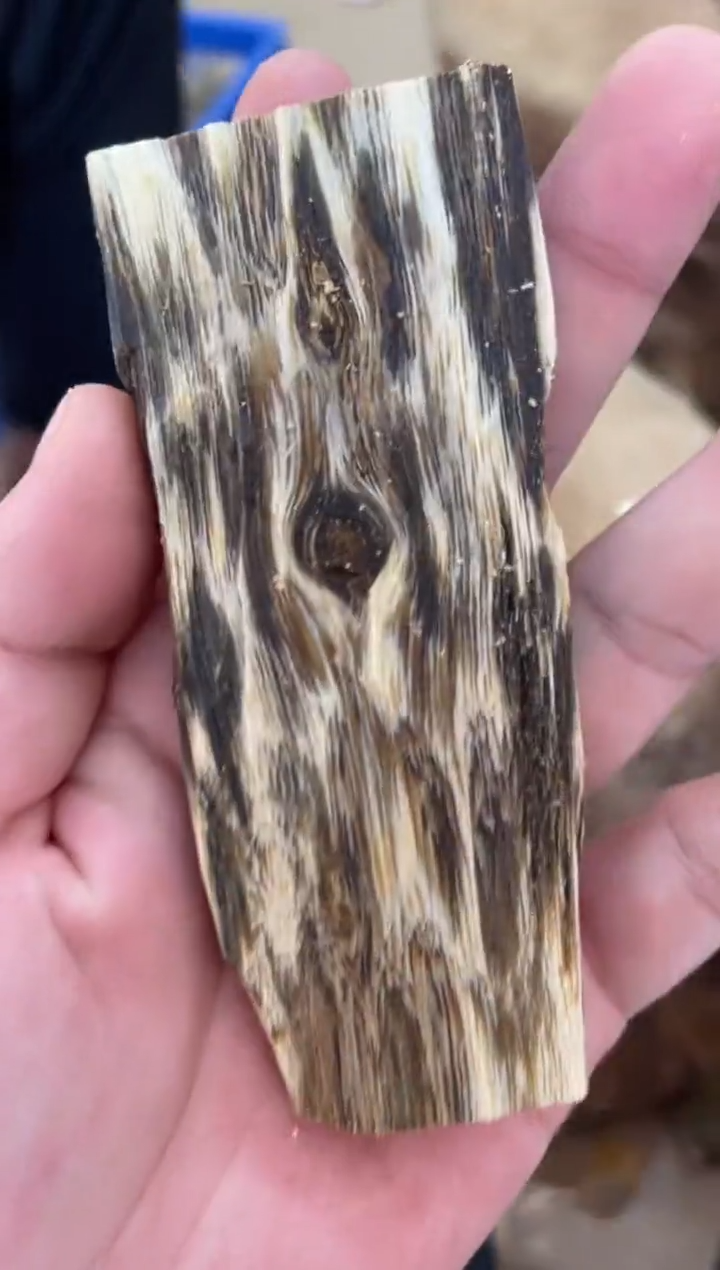 沉香沉香碎屑棋楠沉香 原料文创1