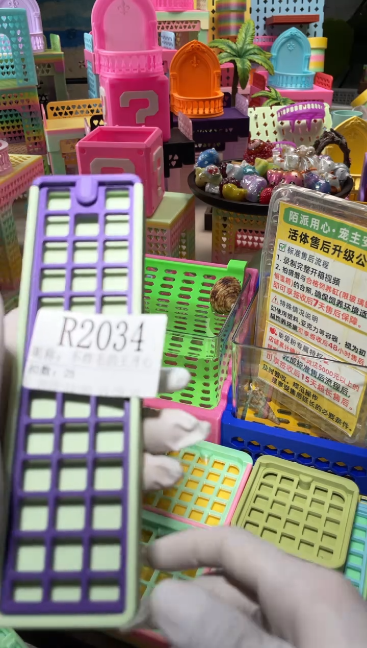 不****心陌派有钳寄居蟹2034
