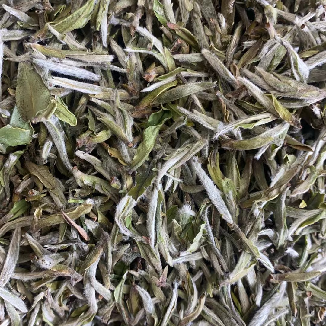 【康潮一品】花海 2023年李老师碳焙荒野头采白毫银针 散茶 白茶
