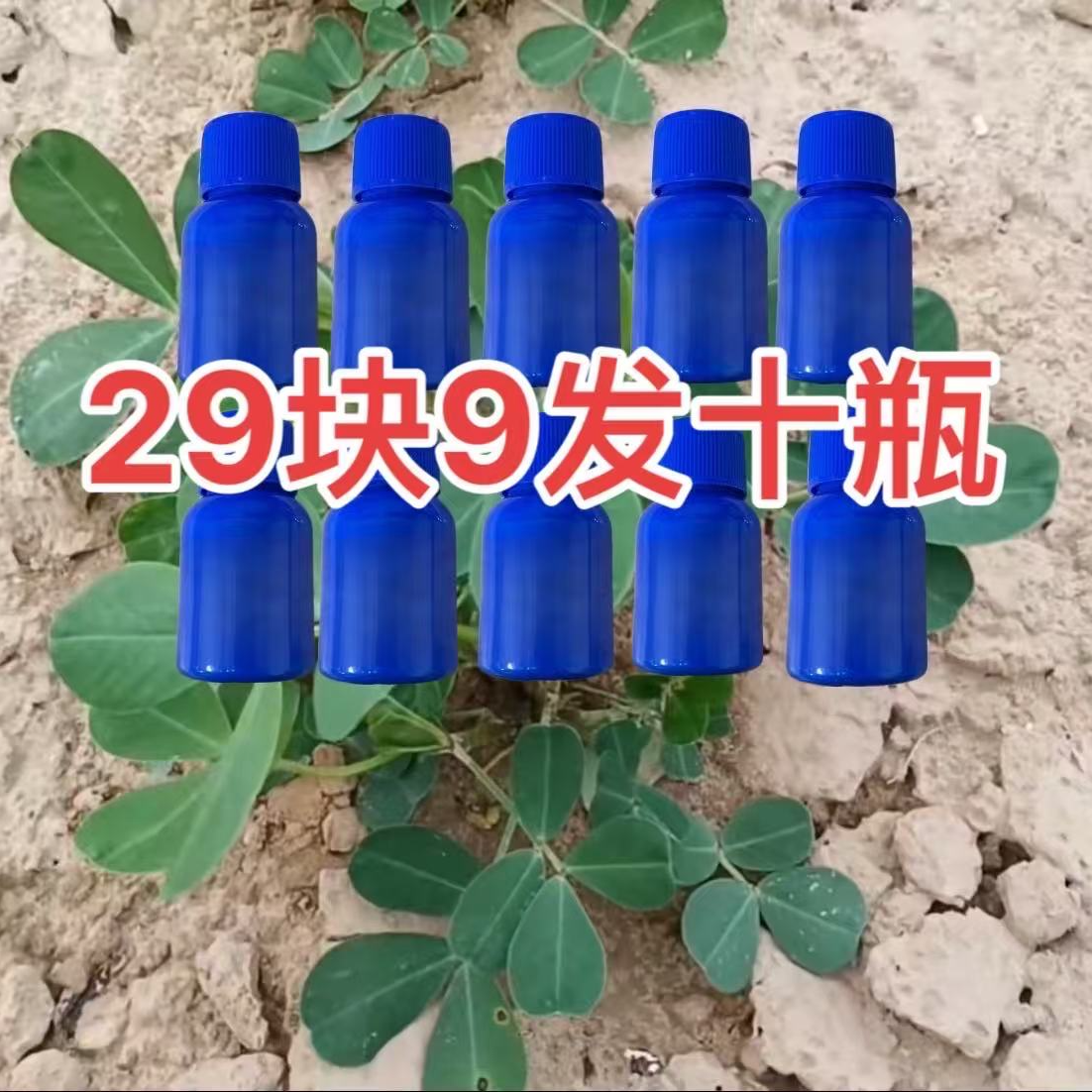 噻呋 适用于花生玉米根部问题喷施叶面肥