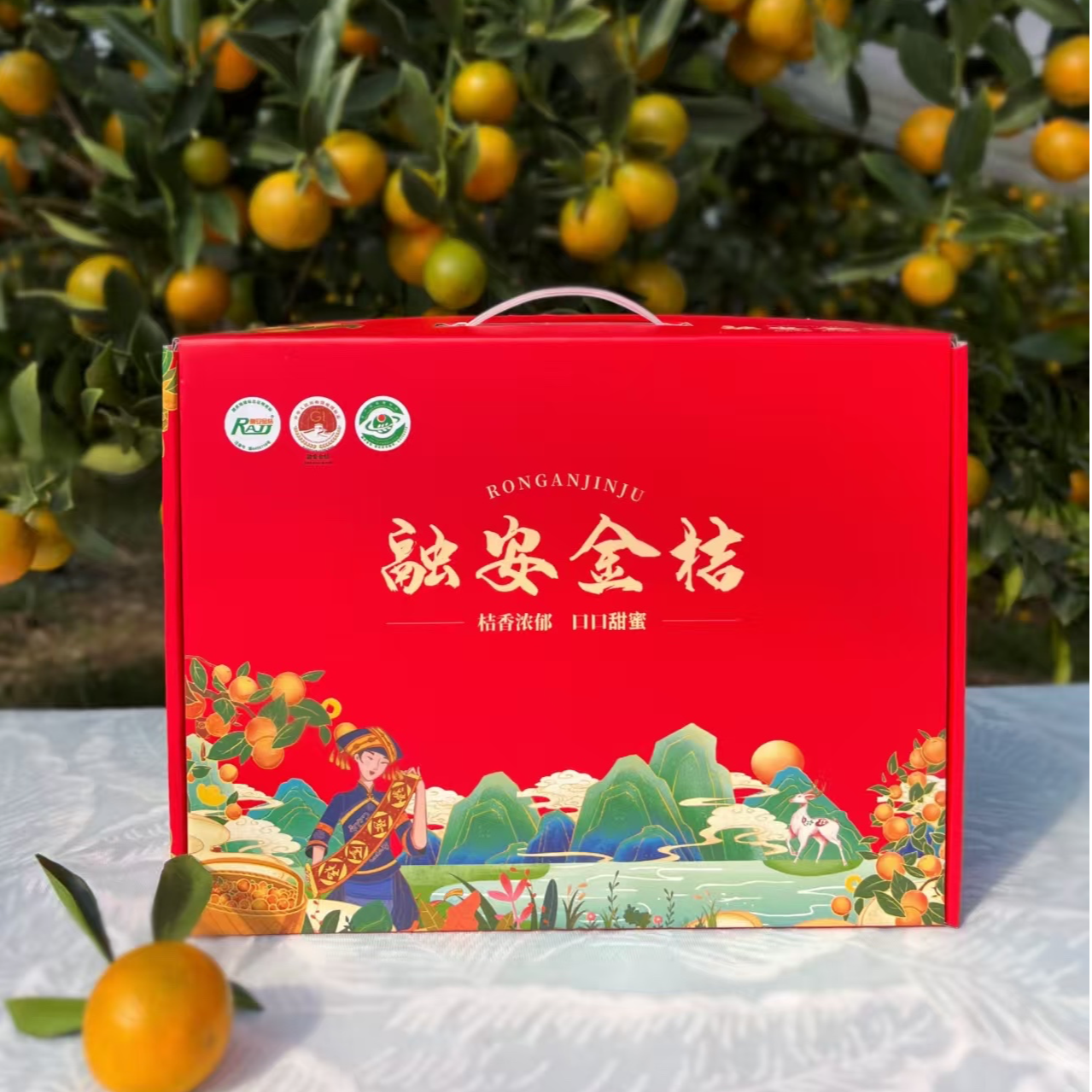 【顺丰直发】正宗融安三代脆蜜金桔爆甜多汁新鲜应季水果2斤礼盒装