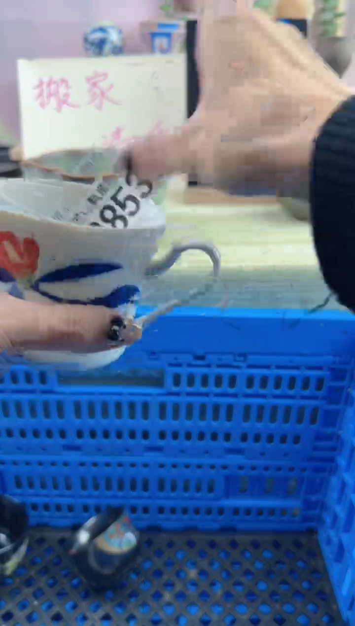 瓷片眼*柔       B853
