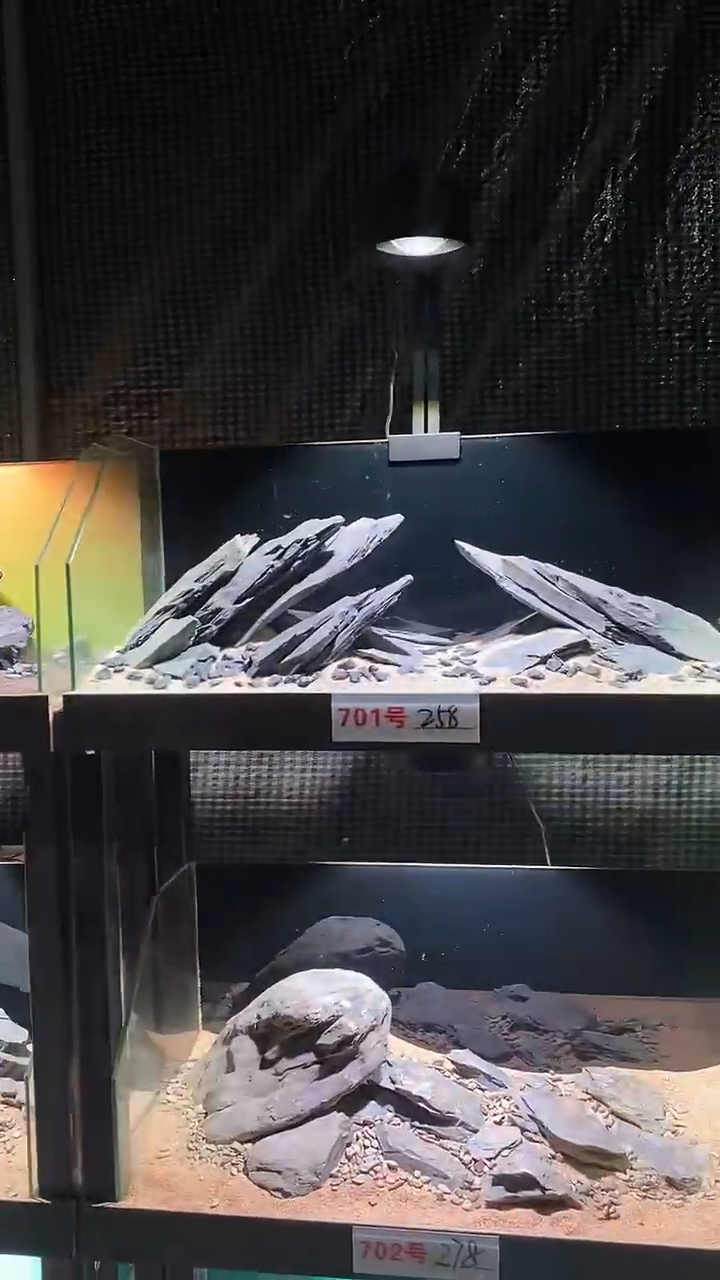 701号鱼缸造景（不含底砂）