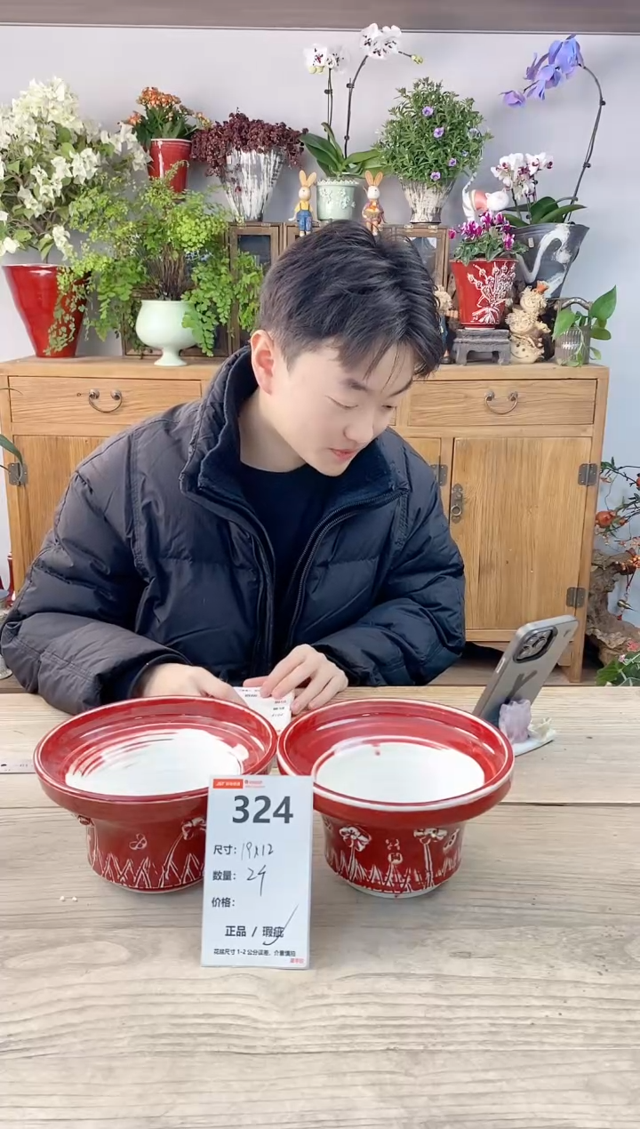 小玩子花盆直播编号324