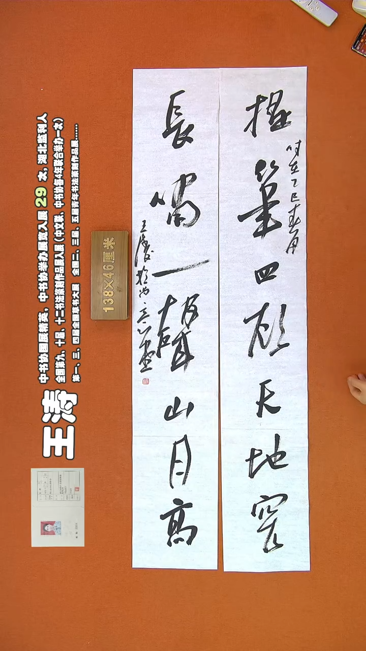 【闪购商品】书法257王涛书法作品