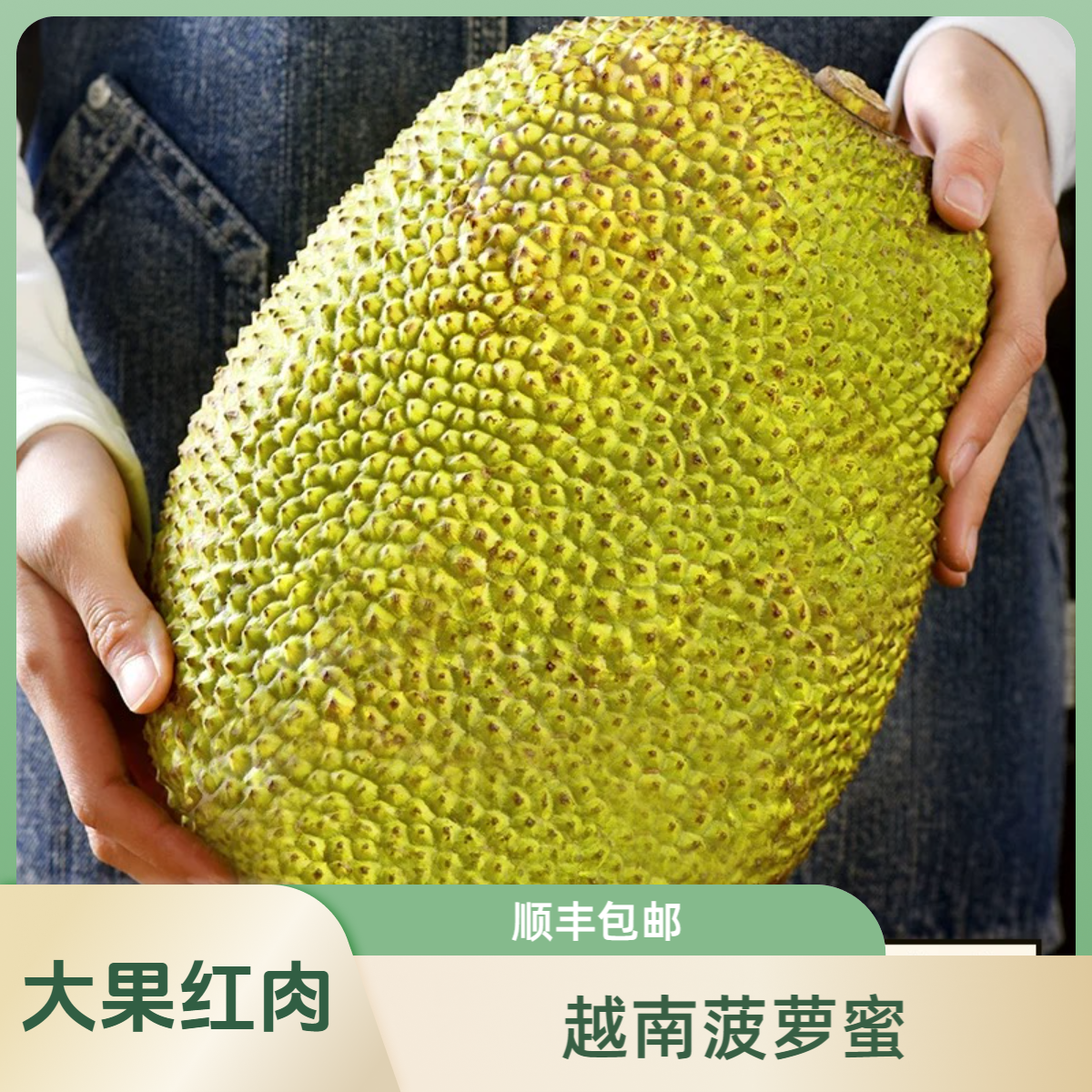 【6-8斤AA大果】越南红菠萝蜜，顺丰包邮 今天拍明天到热带水果黄肉菠萝蜜越南社会主义共和国