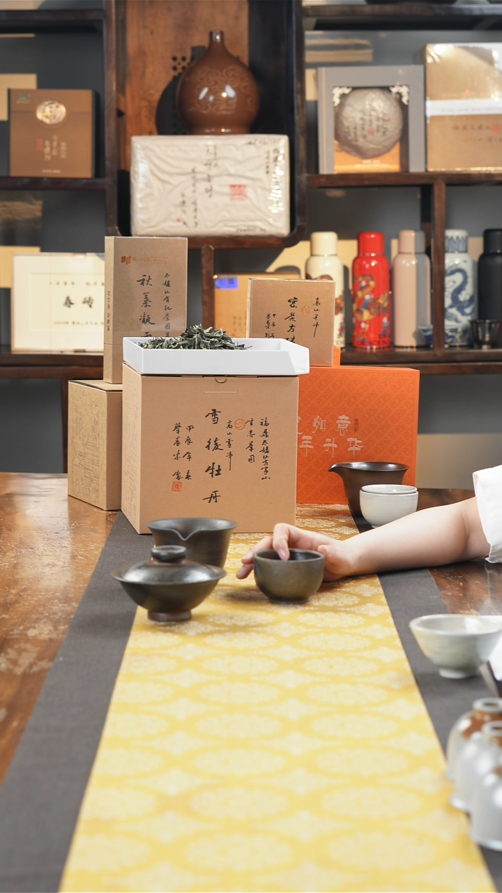 【闪购商品】瓷片于老师福利分享-qdy50