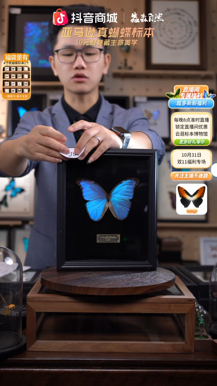蝴蝶标本摆件竞拍晶闪蝶j91