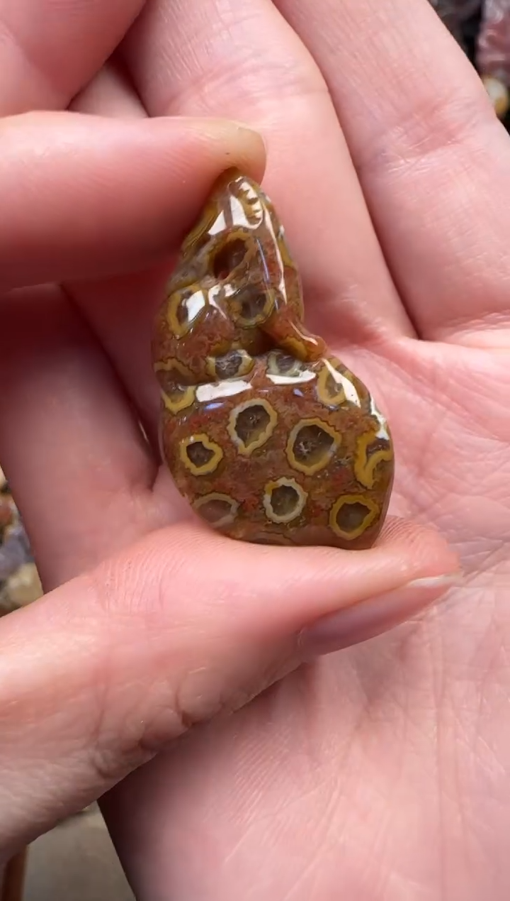 颈饰未镶嵌硅化珊瑚（珊瑚玉）372