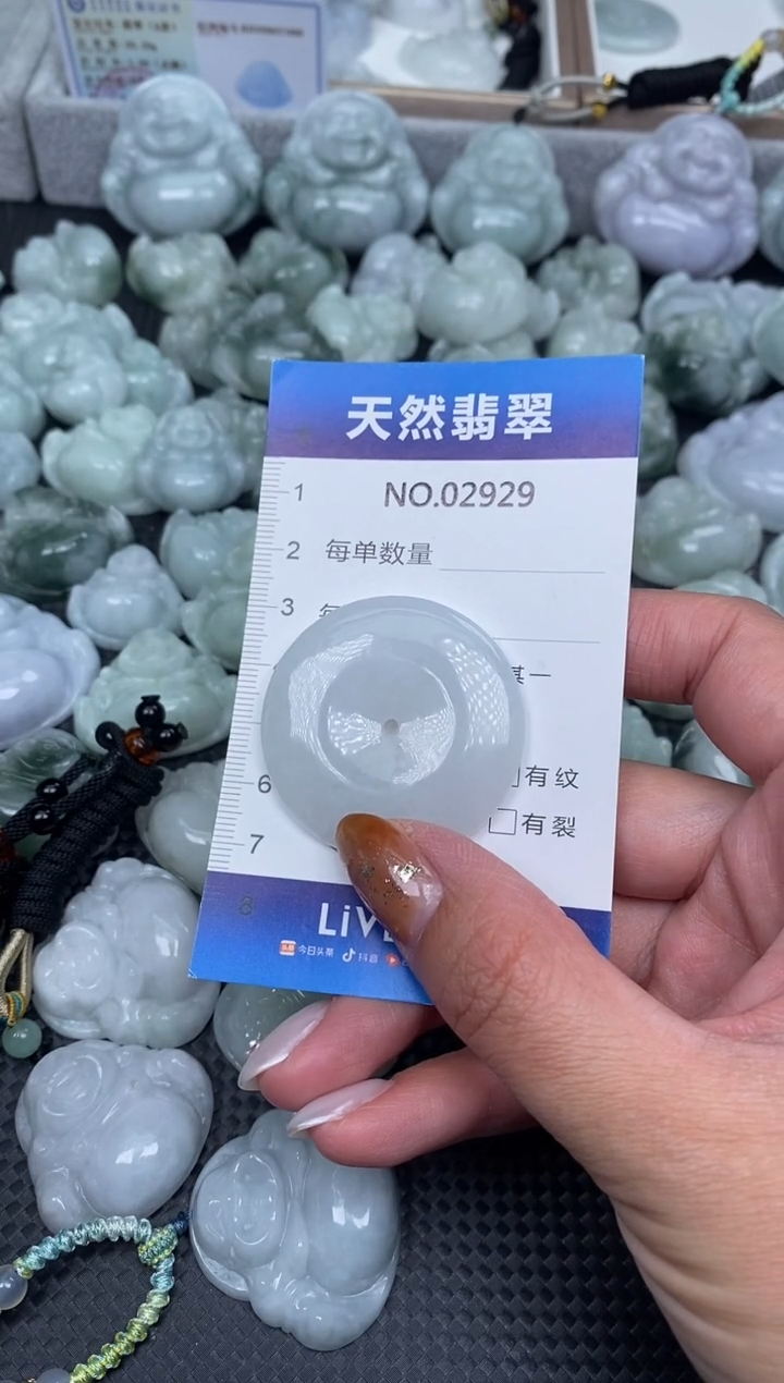 颈饰未镶嵌翡翠纯天然A货翡翠2929
