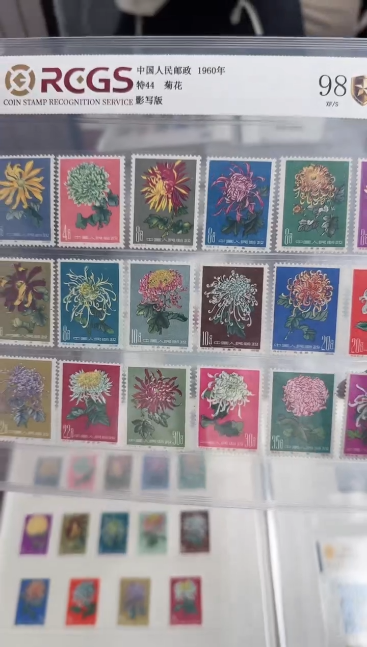 特44  菊花 套票      