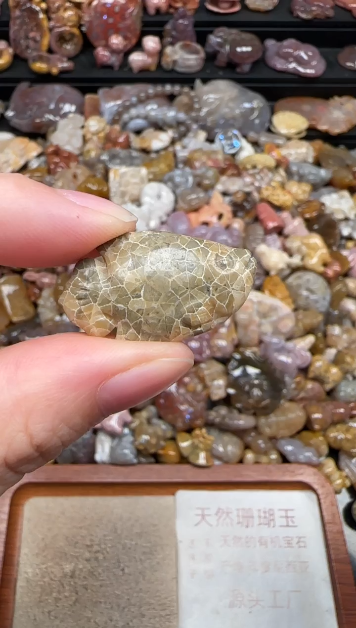 颈饰未镶嵌硅化珊瑚（珊瑚玉）712