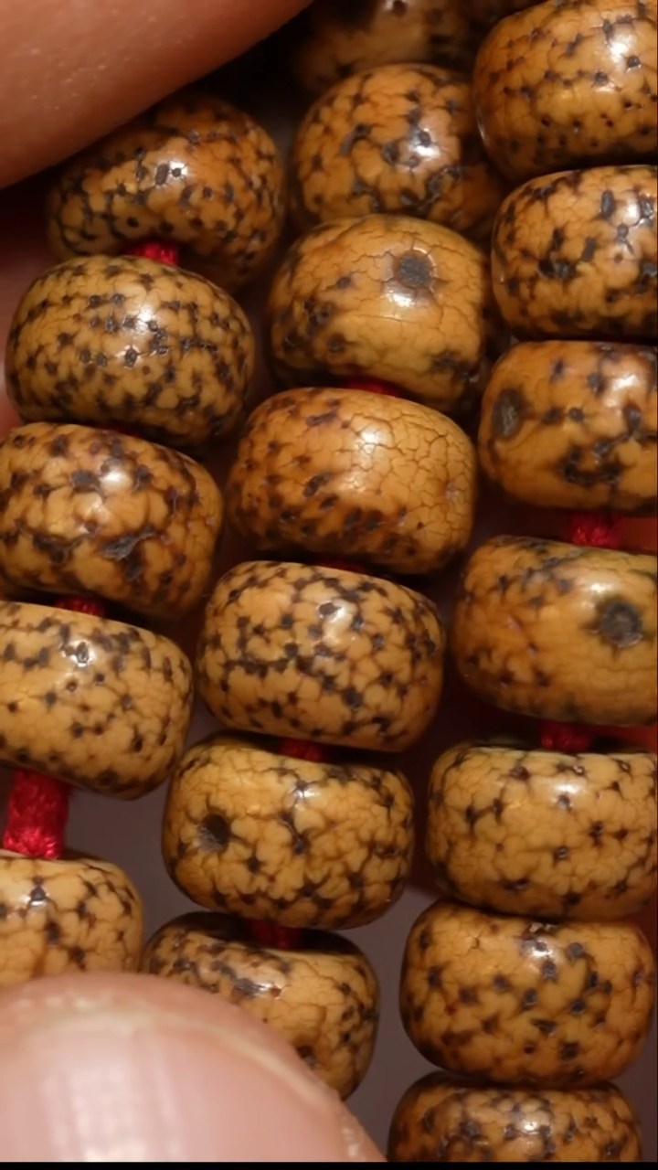 【闪购商品】冲赛康胡子哥，藏传念珠27