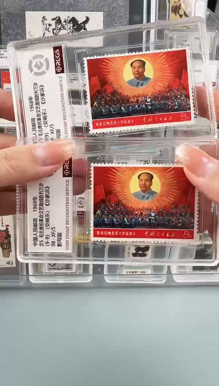 文5单枚交响乐（原胶原胶）