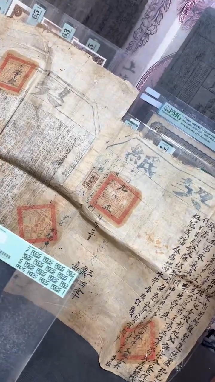 【闪购商品】纸小马家直播间包邮福利！！！！