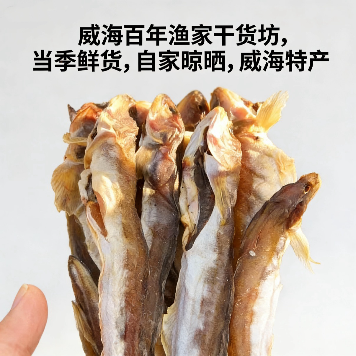 【年底促销】山东特产渔家自晒海鲶鱼肉质厚实