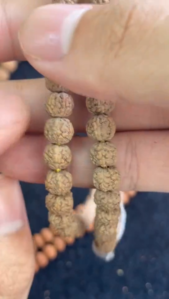 【闪购商品】金刚菩提手串690原桩葛地利一代龙小金刚7++钢丝刷