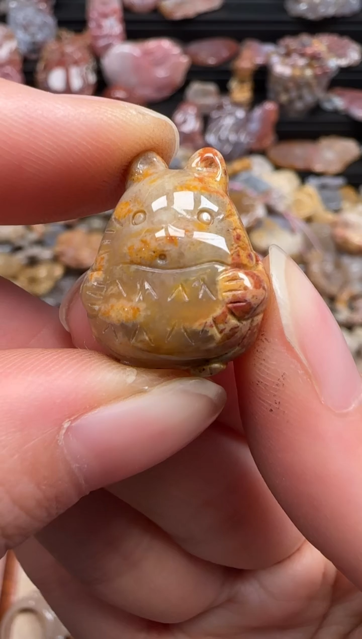 【闪购商品】硅化珊瑚（珊瑚玉）颈饰未镶嵌403