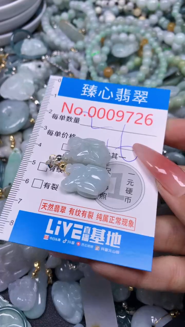 【闪购商品】翡翠颈饰未镶嵌含绳0009726