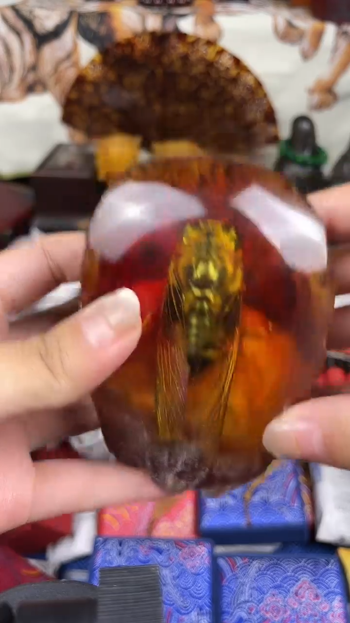 香榧木小月——————冲破