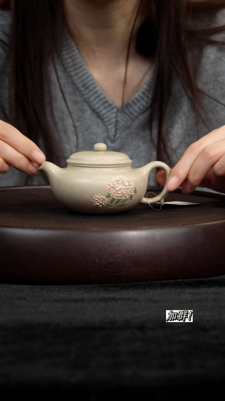 茶壶紫砂TRF706659白皮龙仿古170c