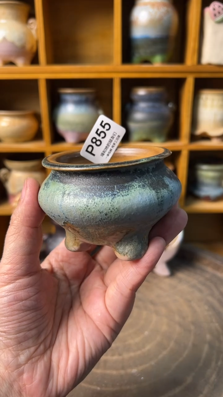 855 内口6【多肉花盆多肉盆】