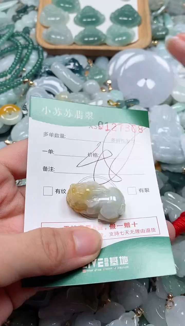 【闪购商品】翡翠颈饰未镶嵌闪购商品0127308