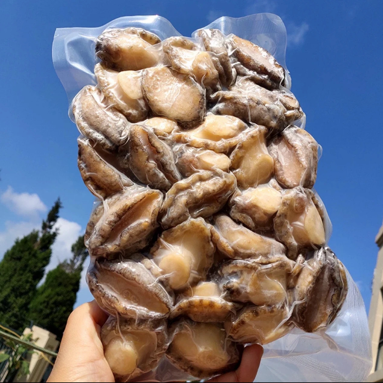 鲜活鲍鱼肉500g/包 去壳去内脏去牙齿饭店家宴请客礼炖汤红烧特大