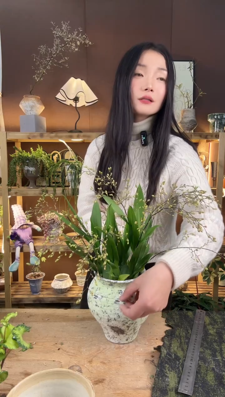 无花朵大**相梦香兰加盆一套 