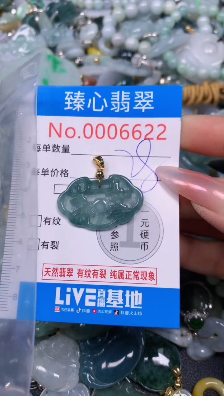 【闪购商品】翡翠颈饰未镶嵌含绳0006622