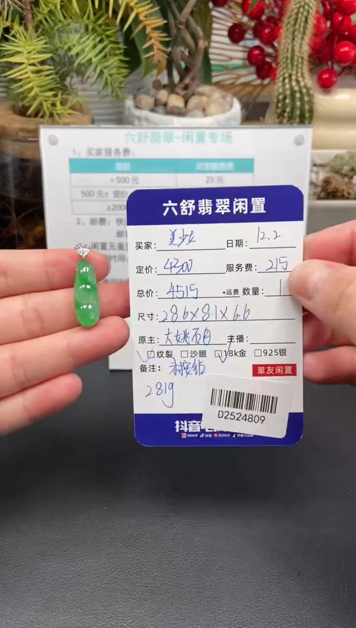 颈饰18K金镶嵌翡翠美****肉D2524809