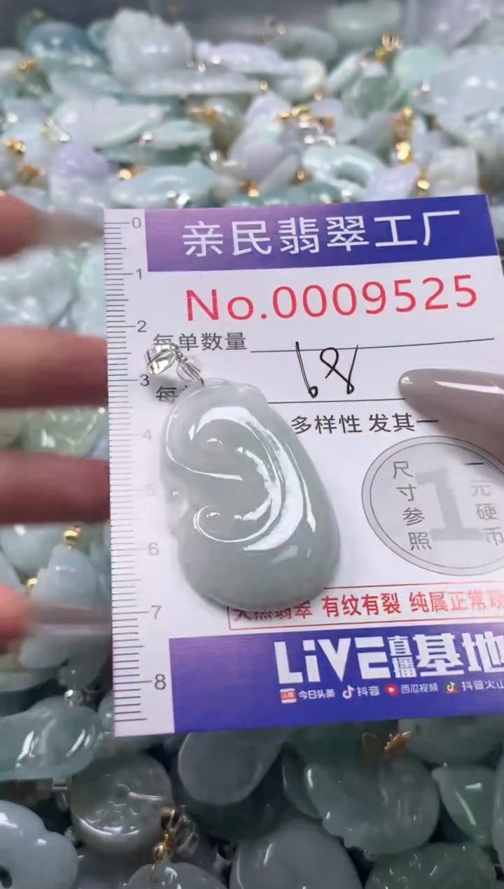 颈饰未镶嵌翡翠9525