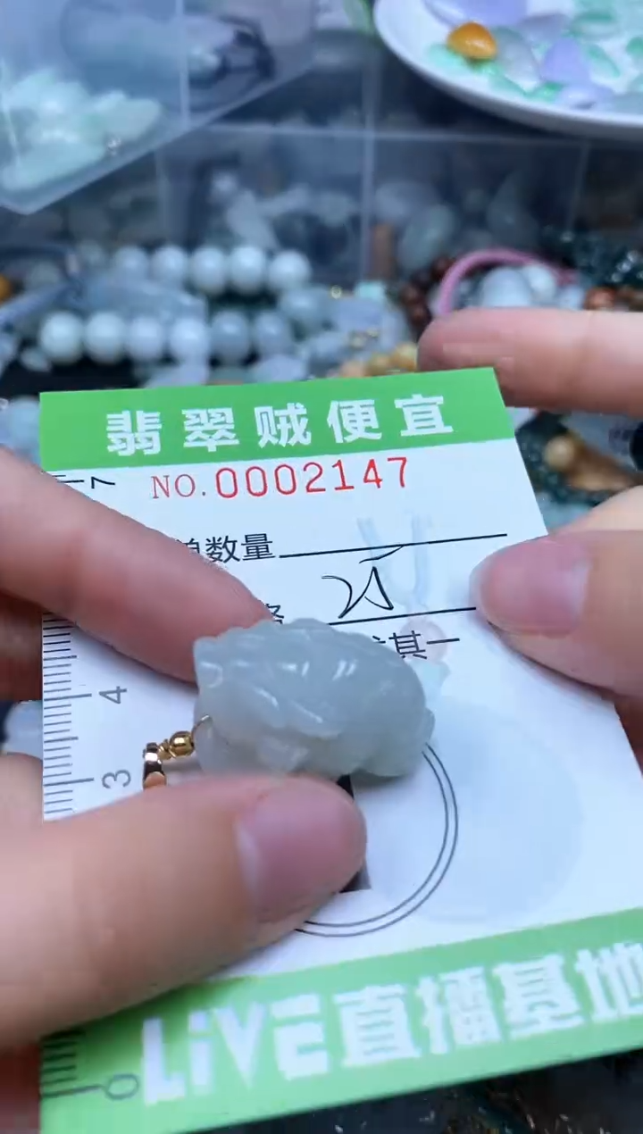 翡翠未镶嵌颈饰Z闪购0002147