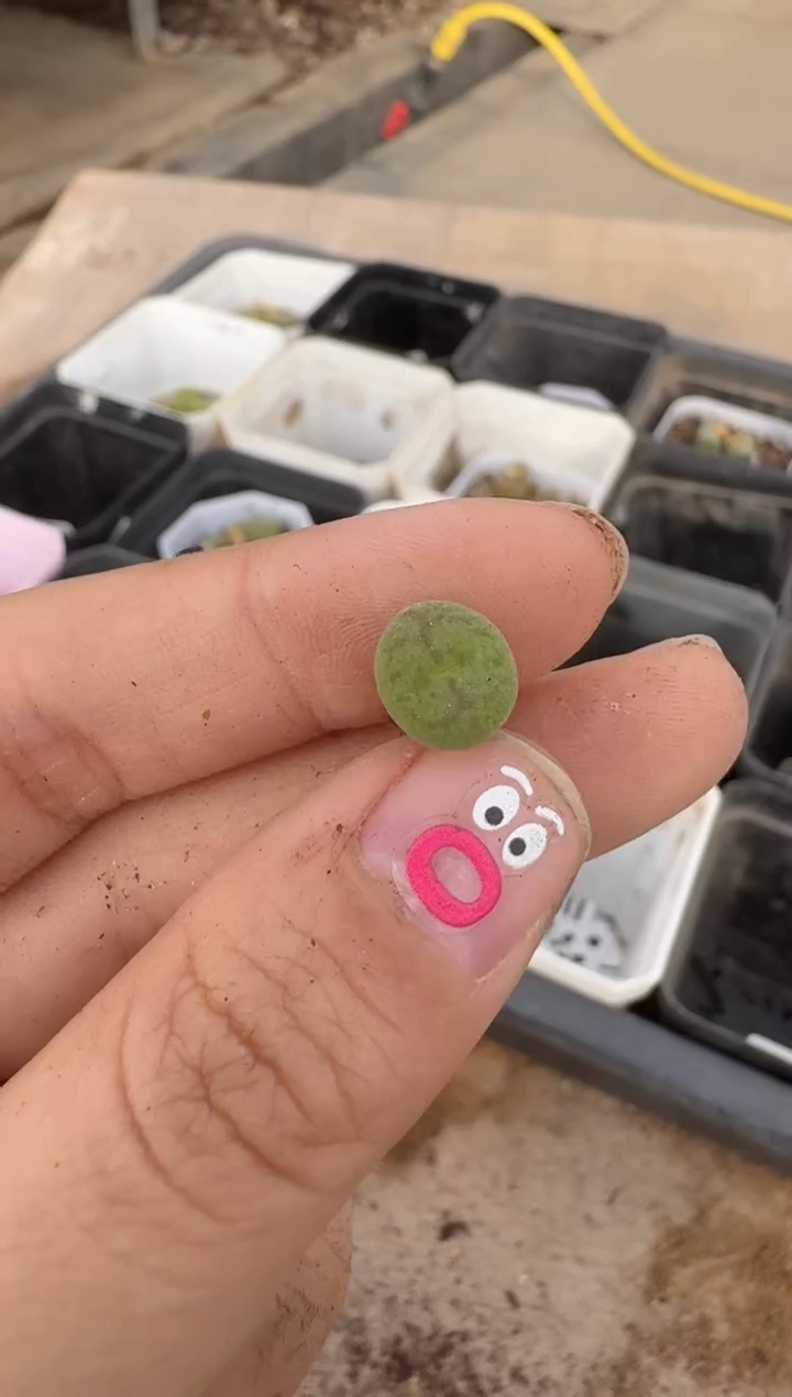 【闪购商品】16-119