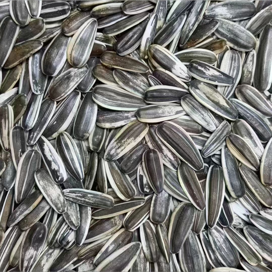 原味熟瓜子现炒现发中大颗粒皮薄易嗑休闲炒货零食